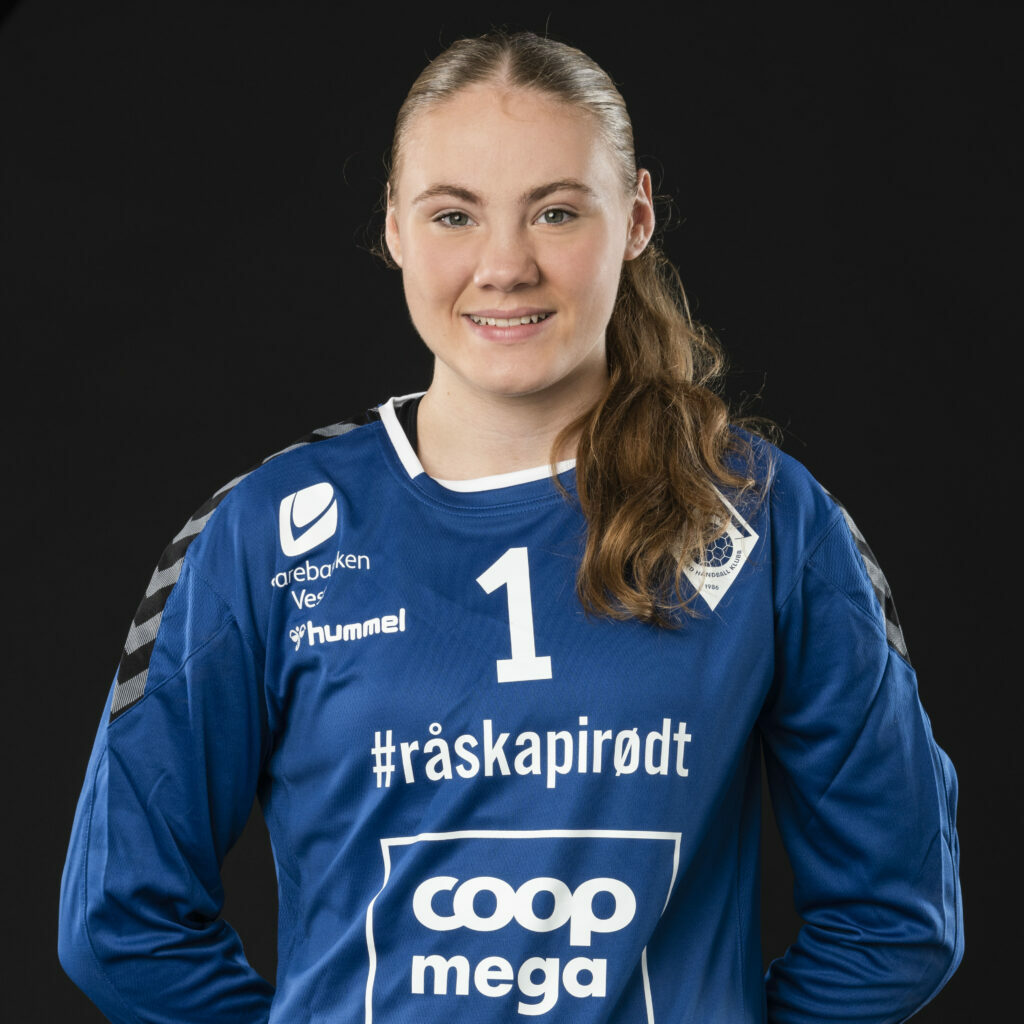 01_portrett_a╠èlga╠èrd_ha╠èndball